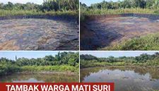 Tambak yang pernah menghidupi keluarga, kini terbengkalai menunggu keadilan yang belum datang