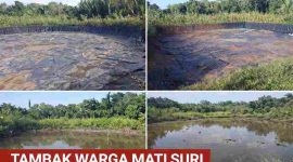 Tambak yang pernah menghidupi keluarga, kini terbengkalai menunggu keadilan yang belum datang