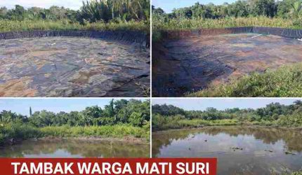 Tambak yang pernah menghidupi keluarga, kini terbengkalai menunggu keadilan yang belum datang