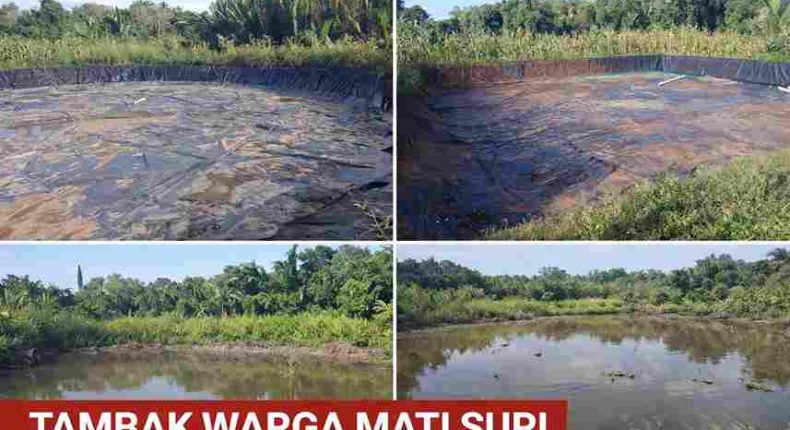 foto slider headline