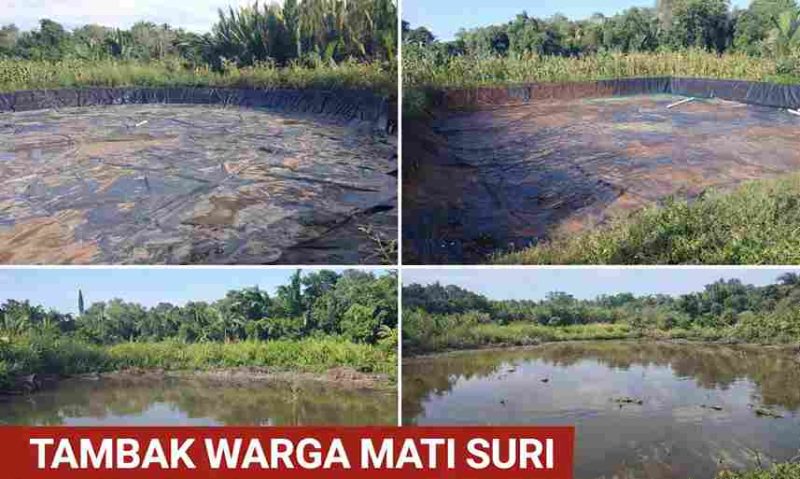 Tambak yang pernah menghidupi keluarga, kini terbengkalai menunggu keadilan yang belum datang